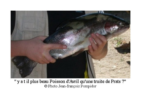 AM 57 p4 V3 un poisson du Tech bien authentique