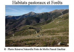 habitats pastoraux et forêts SITE