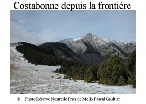 Costabonne depuis la frontière- partie EST SITE