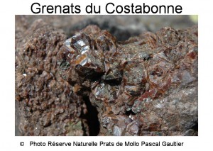 Grenats du Costabonne SITE